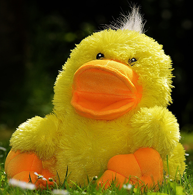 duck toy